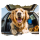 Dog Car Header